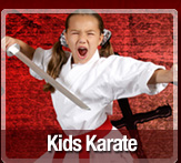 Kids Karate (tae kwon do) Teaching kids discipline, respect and giving them lots of exericise while having fun.
